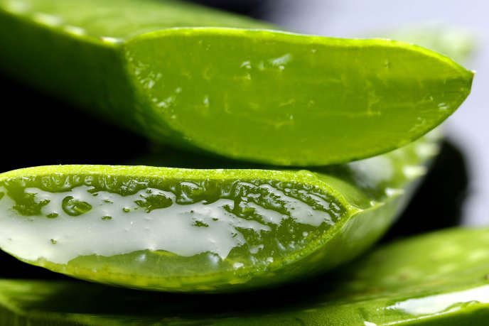 3 usos múltiples para la piel del aloe vera