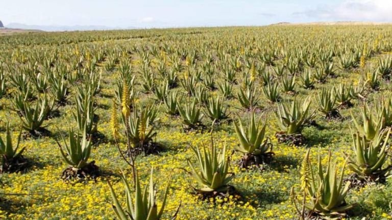 Lee más sobre el artículo Fin de año 2021